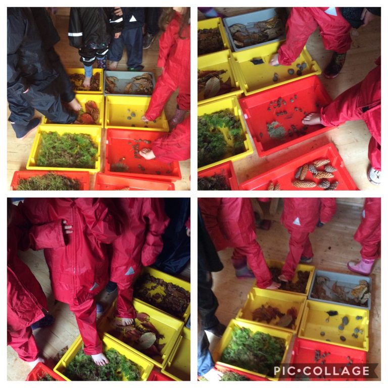 Barefoot feeling Safari- to help develop descriptive vocabulary