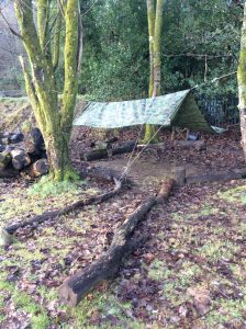 Classroom in the Woods