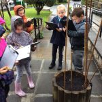 Hunting for shapes
