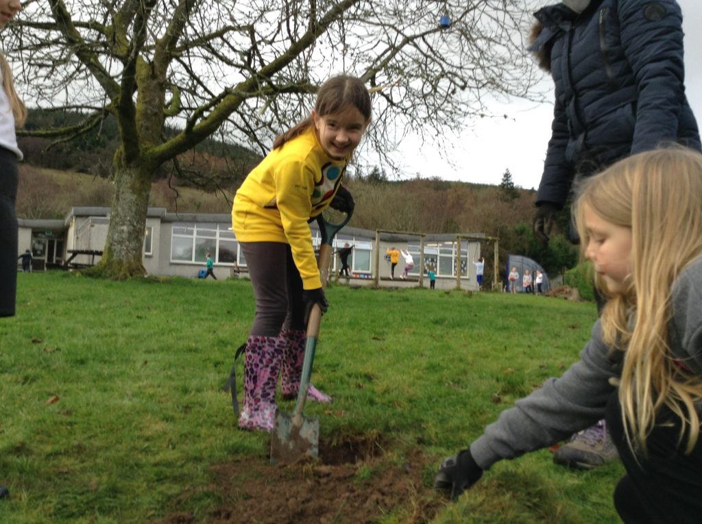 Tree Planting