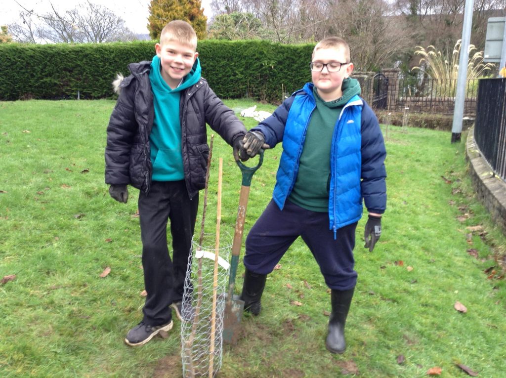 Tree Planting