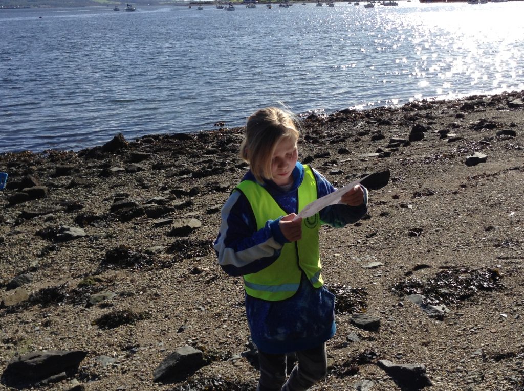 Exploring the local beach