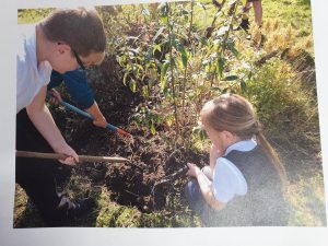 Gardening