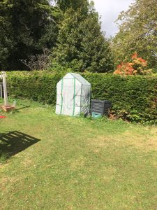 Greenhouse
