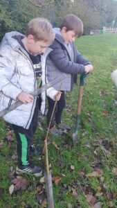 Tree planting