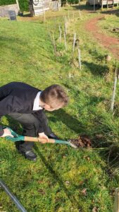 Tree planting